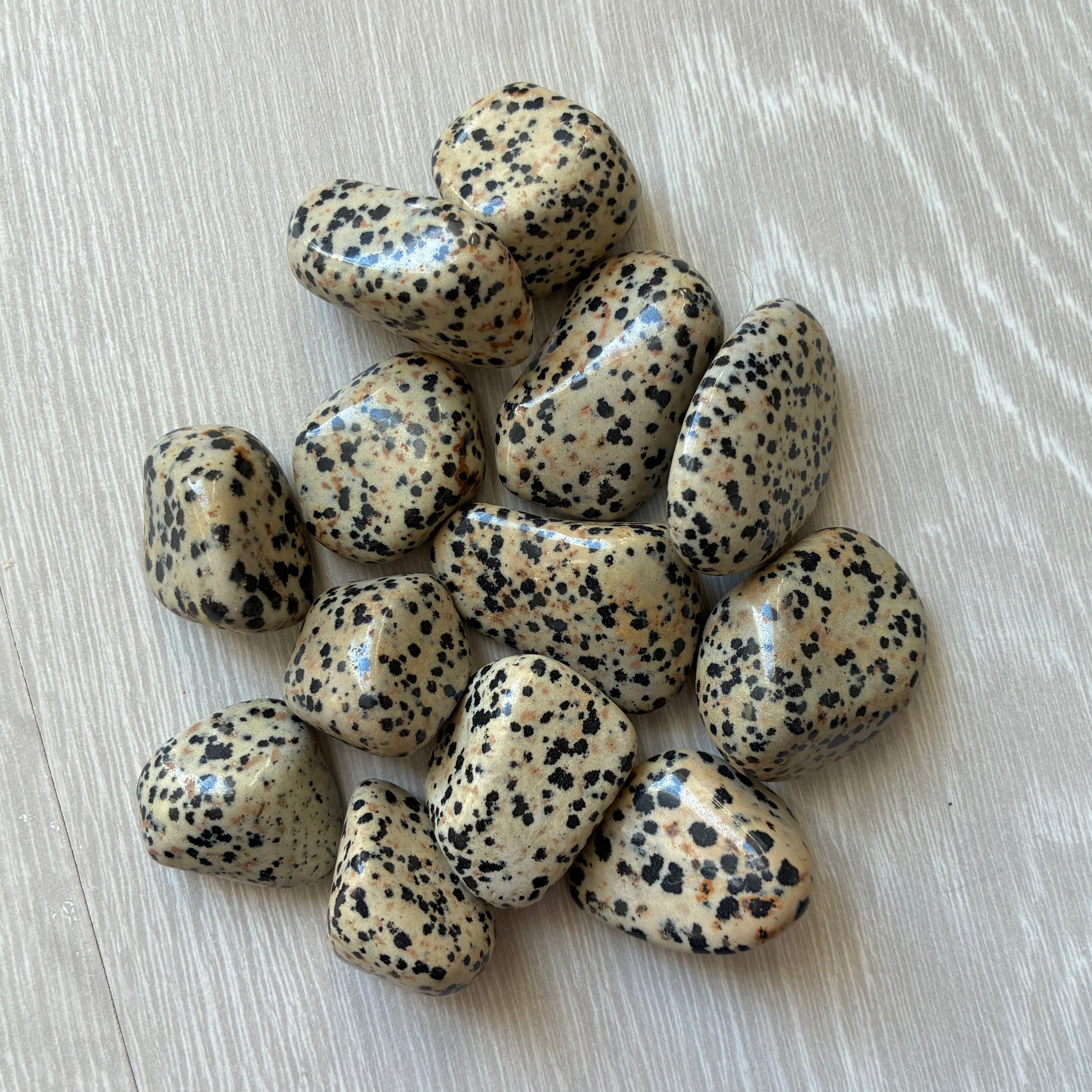 Dalmatian jaspis rumpuhiottu