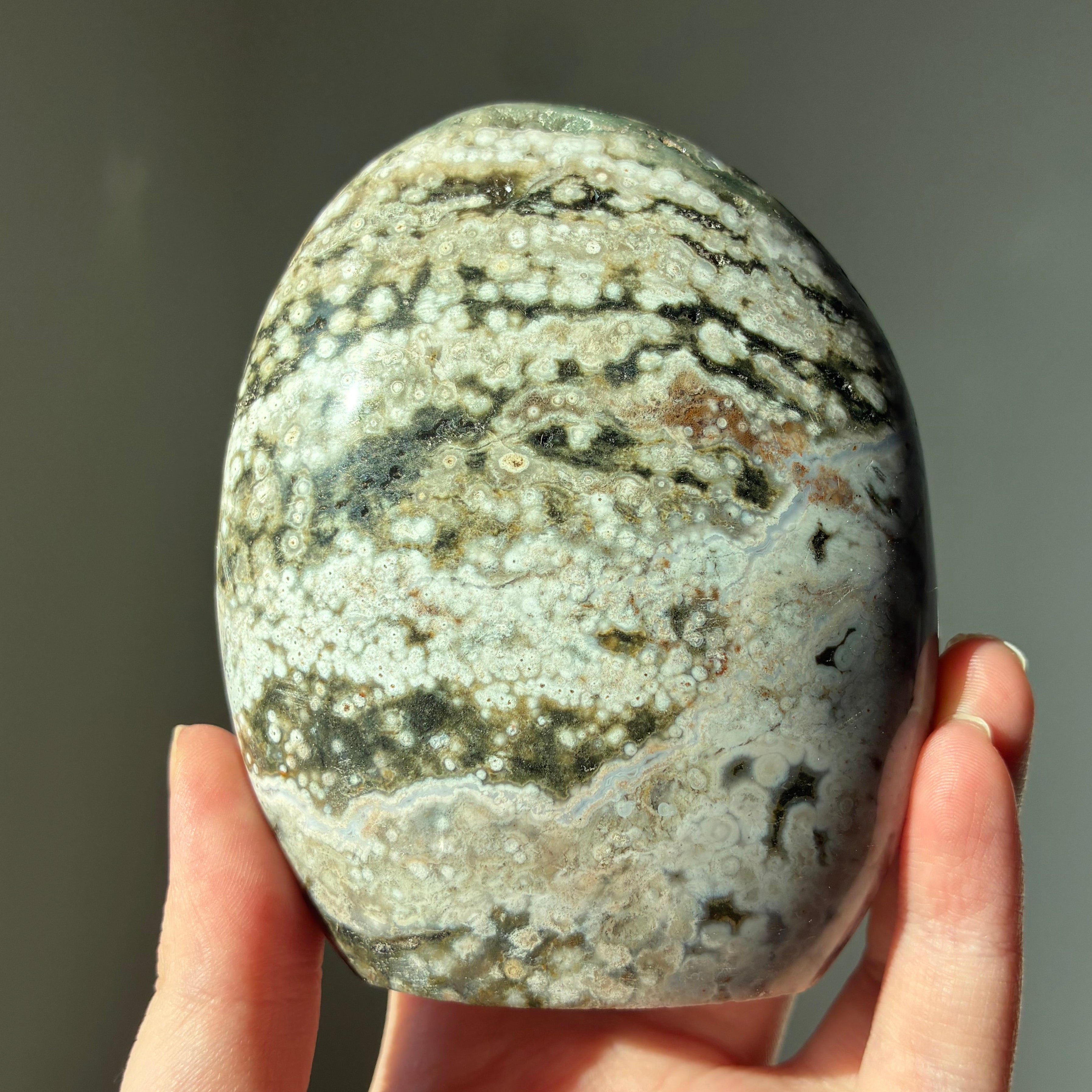 Valtamerijaspis freeform