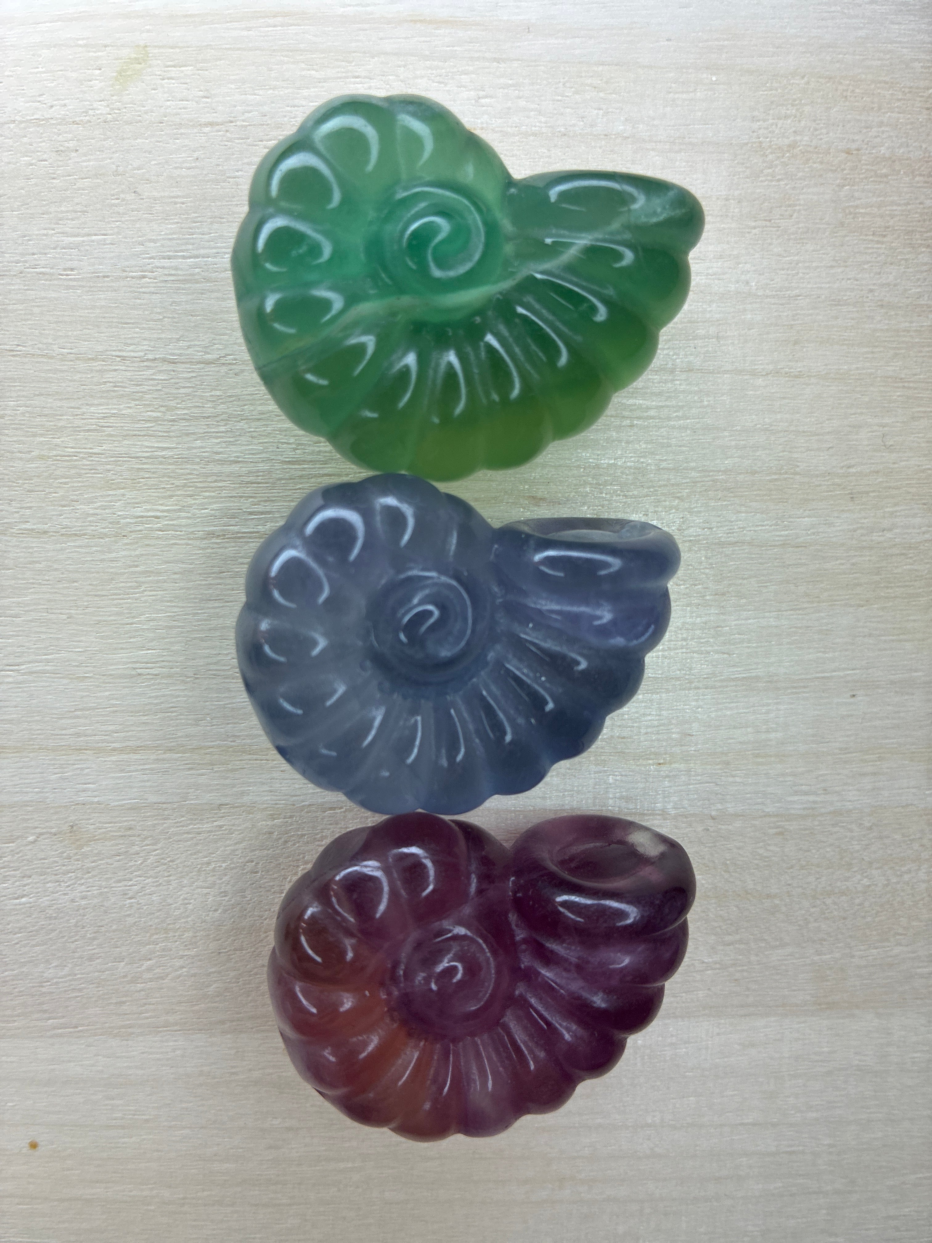 Fluoriitti kaiverrus - ammoniitti