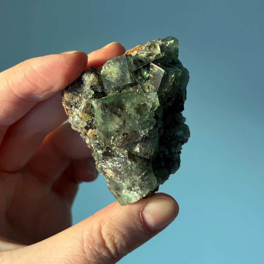 Diana Maria fluoriitti #1