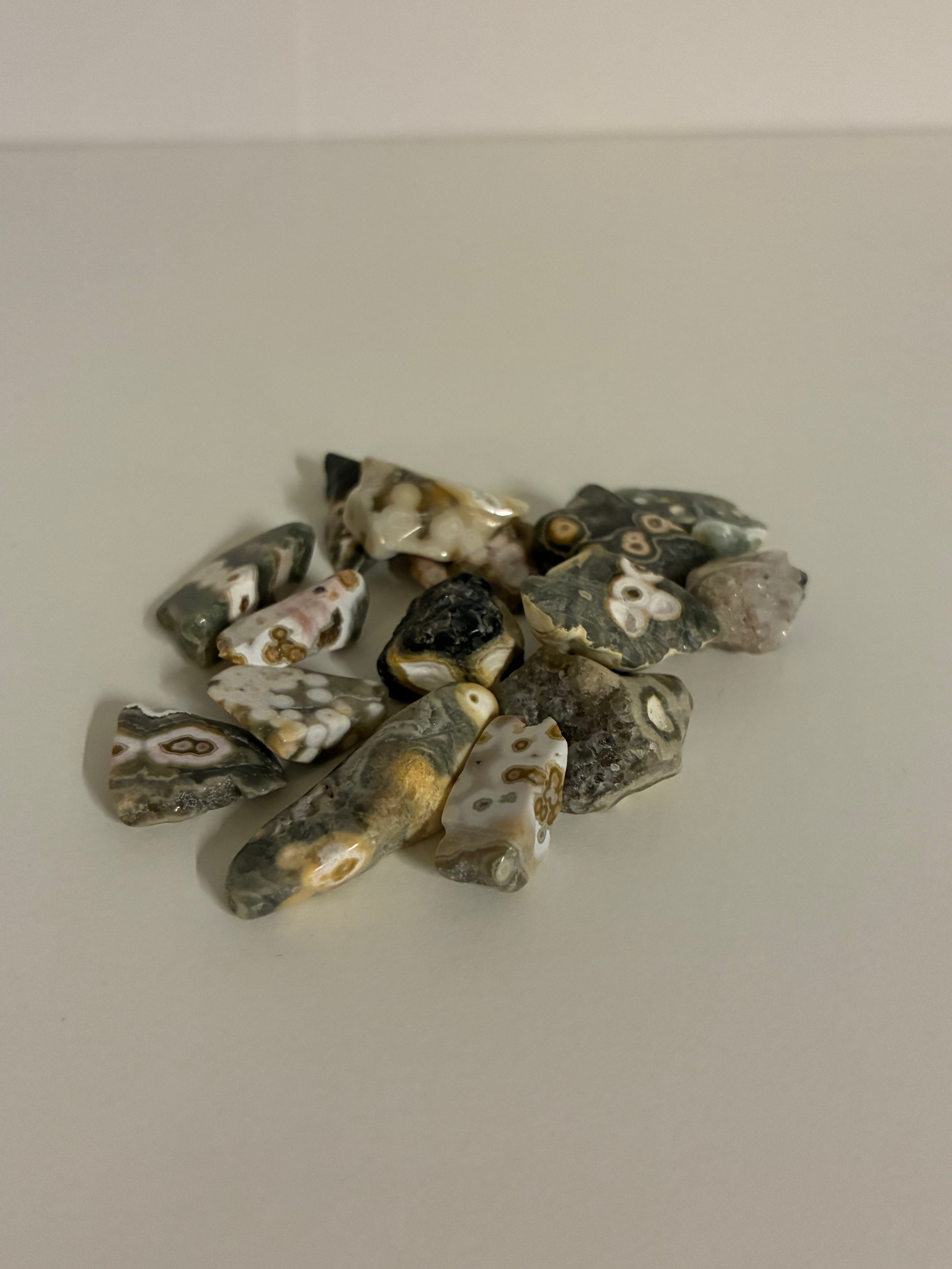 8th vein valtamerijaspis palasia -pieni-