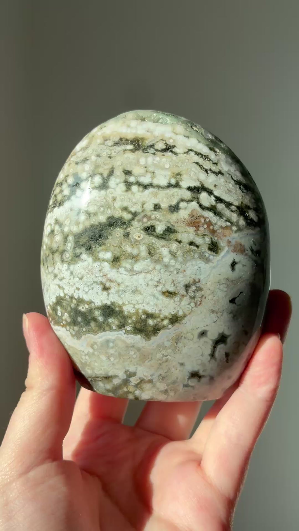 Valtamerijaspis freeform