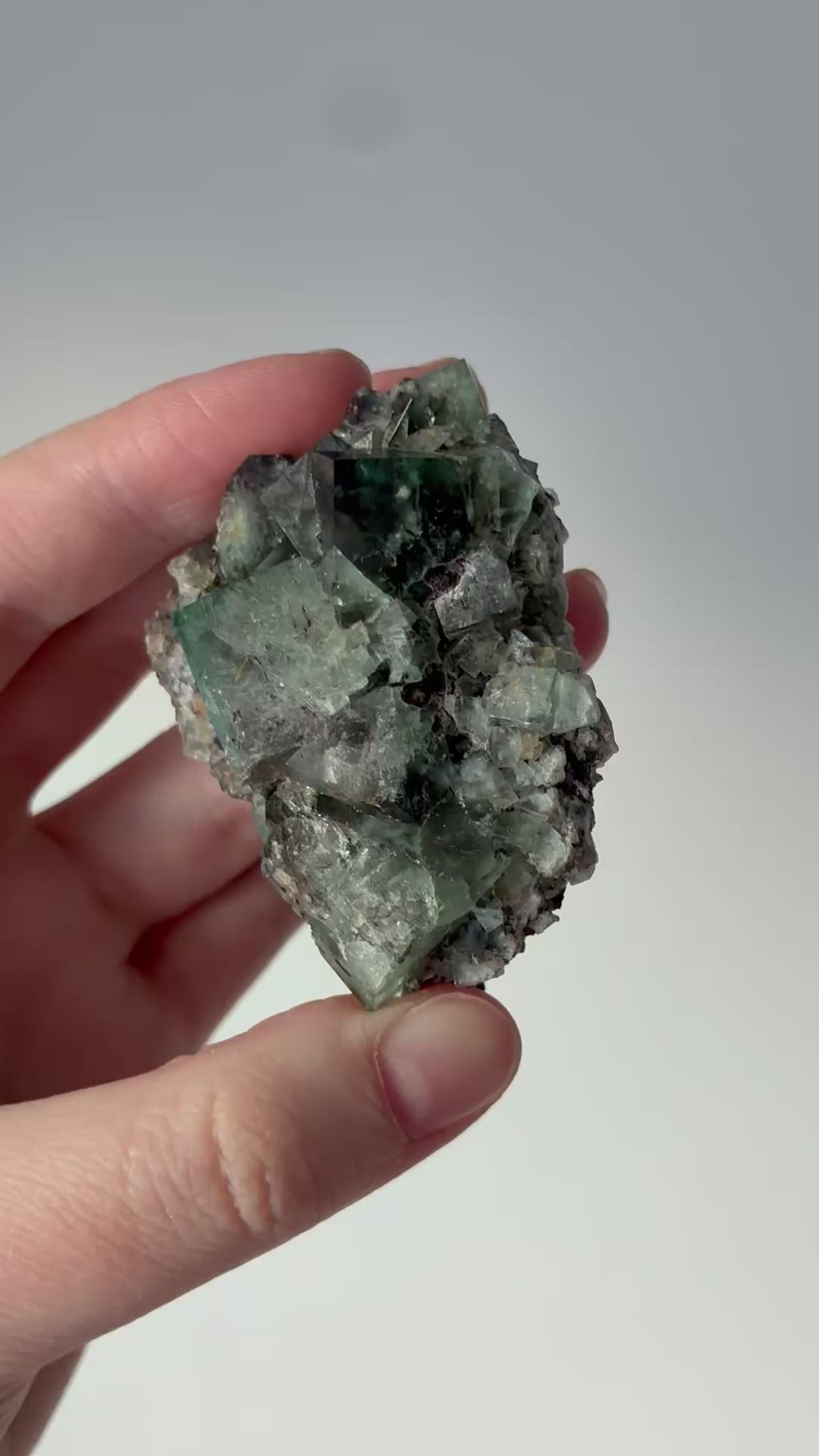 Diana Maria fluoriitti #1