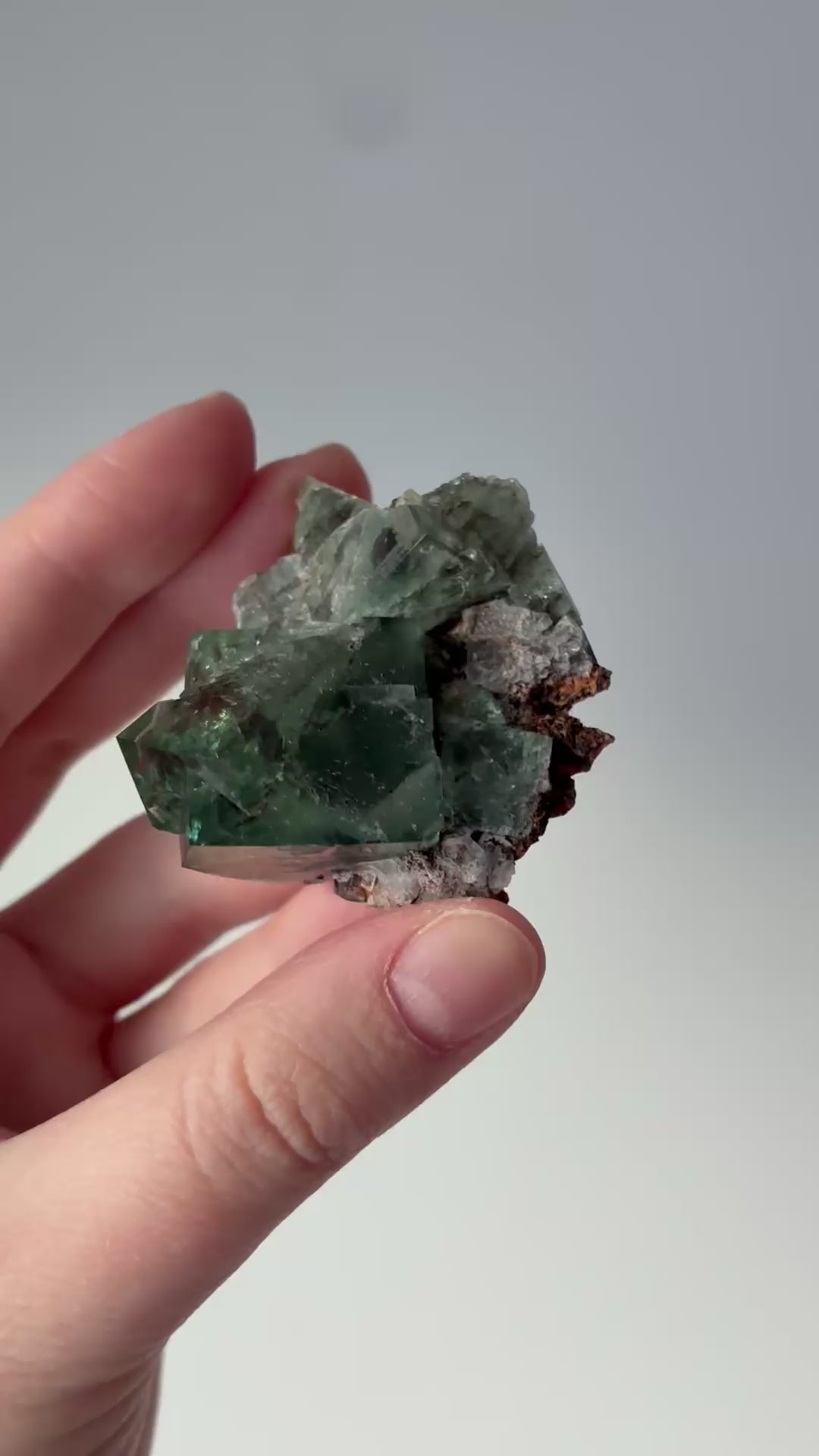 Diana Maria fluoriitti #3